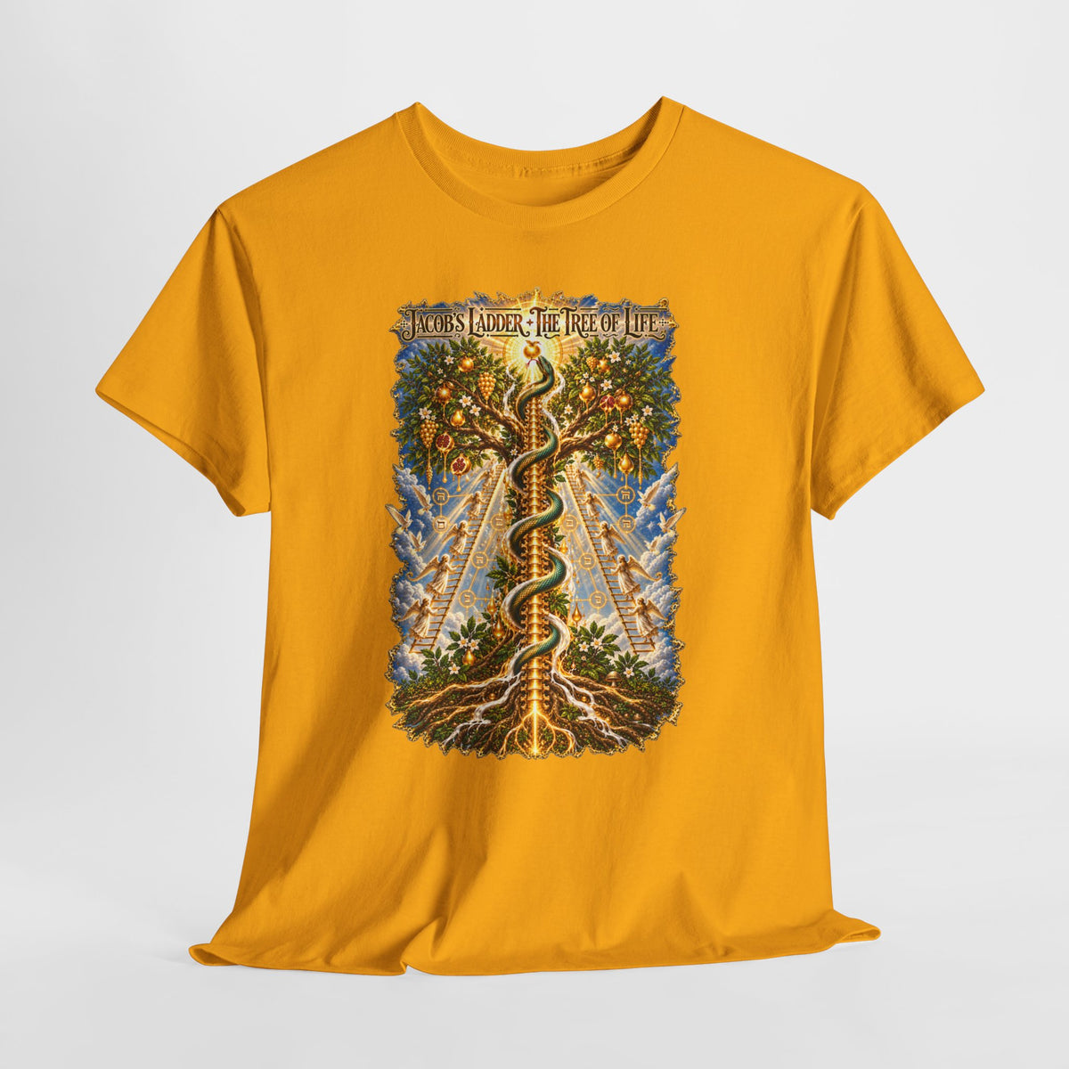 Jacob's Ladder Tee